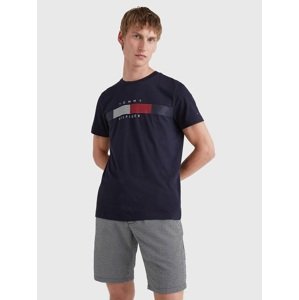 Tommy Hilfiger pánské modré triko Chest - S (DW5)