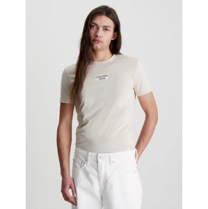 Calvin Klein pánské béžové tričko TRANSPARENT STRIPE LOGO - XXL (ACI)