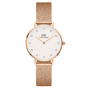 DANIEL WELLINGTON dámské hodinky Petite DW00100528