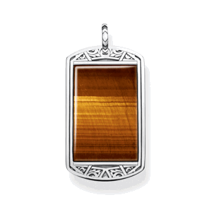 THOMAS SABO přívěsek Dog tag tiger‘s eye PE838-826-2