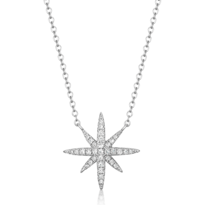 SOFIA stříbrný náhrdelník se zirkonovou hvězdou IS028CT311RHWH