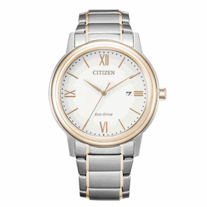 CITIZEN pánské hodinky Eco-Drive Elegant CIAW1676-86A