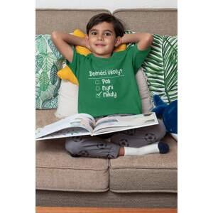 MMO Chlapecké tričko Domácí úkoly Barva: Trávová zelená, Velikost: 110