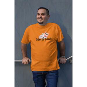 MMO Pánské tričko Jsem ve formě Barva: Mandarínková oranžová, Velikost: 2XL