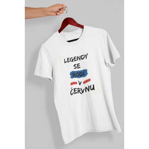 MMO Pánske tričko Legendy se rodí v červnu Barva: Bíla, Velikost: XL