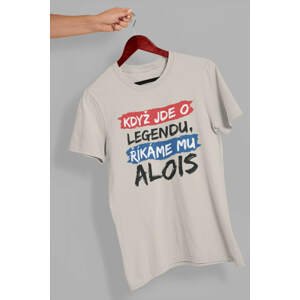 MMO Pánské tričko Alois Barva: Ledově šedá, Velikost: 2XL