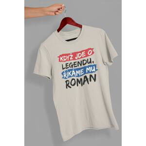 MMO Pánské tričko Roman Barva: Ledově šedá, Velikost: XL