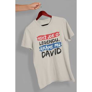 MMO Pánské tričko David Barva: Ledově šedá, Velikost: 3XL
