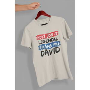 MMO Pánské tričko David Barva: Ledově šedá, Velikost: L
