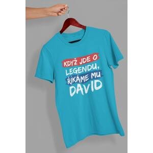 MMO Pánské tričko David Barva: Tyrkysová, Velikost: XL