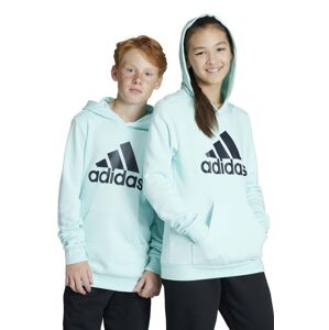 Dětská mikina adidas tyrkysová barva, s kapucí, s potiskem