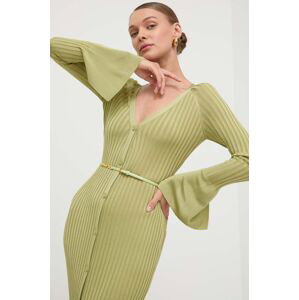 Šaty Elisabetta Franchi zelená barva, maxi, AM61R41E2