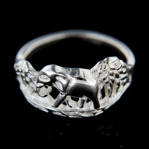Stříbrný prsten 14774