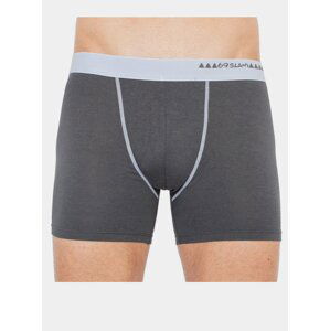 Pánské boxerky 69SLAM fit bamboo dark grey