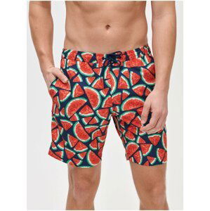 Barevné pánské plavky swim trunk