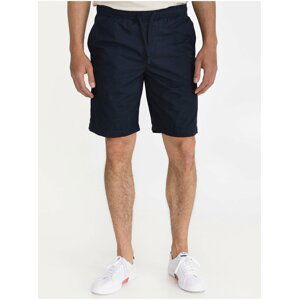 Modré pánské kraťasy easy shorts