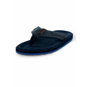 Pánské obuv letní ALPINE PRO RYLIC modrá