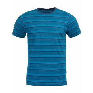 Pánské triko ALPINE PRO RATIZ modrá