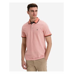 Paulos Polo triko Jack & Jones