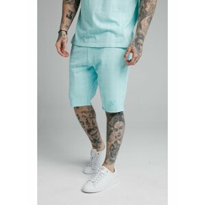 Tyrkysové pánské kraťasy SHORTS GYM PASTEL