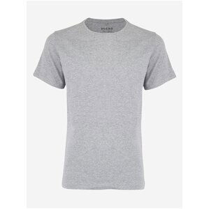Sada dvou pánských basic triček ve světle šedé barvě Blend Dinton