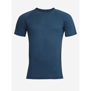 Pánské tričko z merino vlny ALPINE PRO REVIN modrá