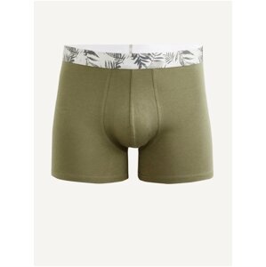 Boxerky Biarritz1 Celio