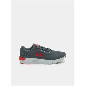 Boty Under Armour UA Charged Rogue 2.5 Storm-GRY