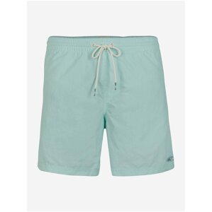 Tyrkysové pánské plavky O'Neill PM VERT SHORTS