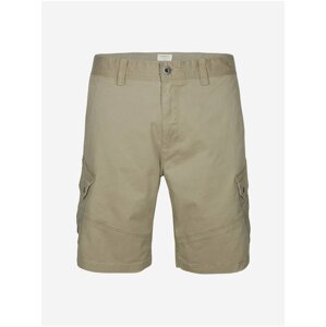 Béžové pánské kraťasy O'Neill LM COMPLEX CARGO SHORTS