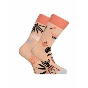 Meruňkové unisex vzorované veselé ponožky Dedoles Pokojové rostliny
