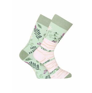 Světle zelené unisex veselé ponožky Dedoles Bylinky