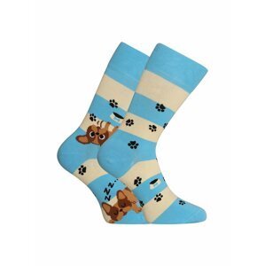Šedo-modré unisex veselé ponožky Dedoles Psi a pruhy
