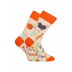 Oranžové unisex veselé ponožky Dedoles Roztomilí ptáčci