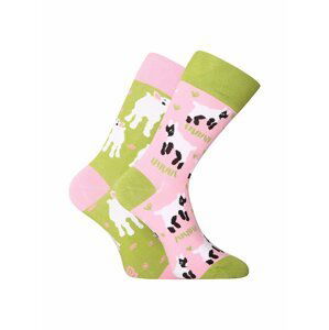 Růžovo-zelené unisex veselé ponožky Dedoles Kůzlátka