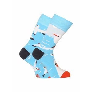 Modré veselé ponožky Dedoles Racek