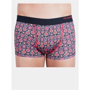 Pánské boxerky 69SLAM hip flower skull