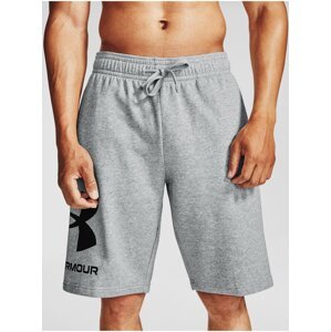 Kraťasy Under Armour UA Rival FLC Big Logo Shorts-GRY