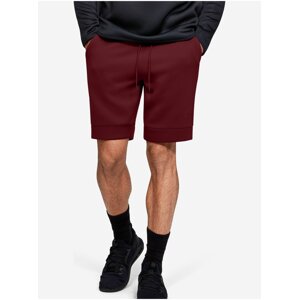 Kraťasy Under Armour Move Shorts