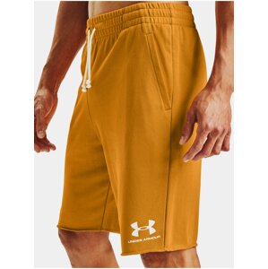 Kraťasy Under Armour SPORTSTYLE TERRY SHORT