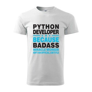 Pánské tričko pro programátory Python developer