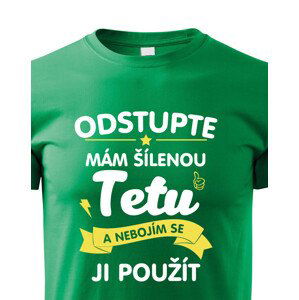 Dětské tričko s potiskem mám šílenou tetu