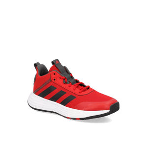 Adidas Ownthegame 2.0