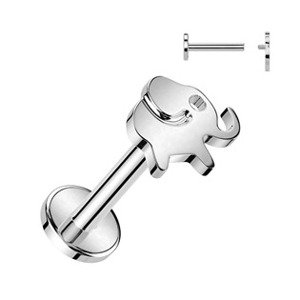 Šperky4U Piercing do brady slon - TITAN - TIT1312-1206