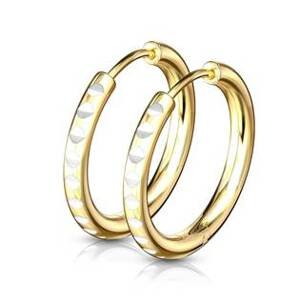Šperky4U Zlacené ocelové náušnice kruhy - OPN1639G-14