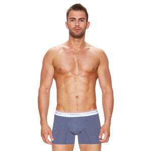 Pánské boxerky Pro A305 se širokou gumou s nápisem Fabio undercare Barva/Velikost: šedá / L/XL