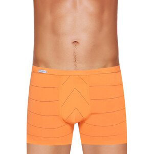 Pánské boxerky s delší nohavičkou a podélným proužkem vzor 410 Fabio Barva/Velikost: oranžová / M/L