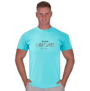 Pánské jednobarevné tričko s krátkým rukávem TDS Barva/Velikost: tyrkys / XXL/3XL