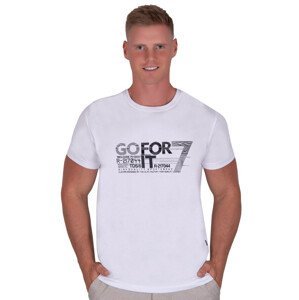 Pánské jednobarevné tričko vzor 329 TDS Barva/Velikost: bílá / M/L