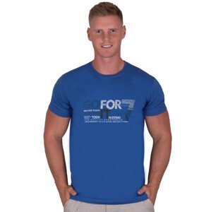 Pánské jednobarevné tričko vzor 329 TDS Barva/Velikost: modrá / L/XL